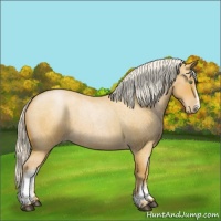 Horse Color:White Spotted Silver Bay Roan Pearl 