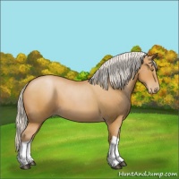 Horse Color:Silver Bay Roan Pearl Tobiano 