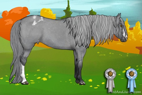Horse Color:Grullo Chinchilla Appaloosa 
