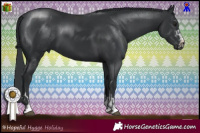 Horse Color:Black Chinchilla  and Black Chinchilla 