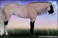 Horse Color:Watercolor Chestnut Splash 