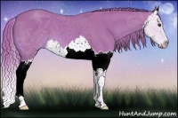 Horse Color:Watercolor Chestnut Splash 