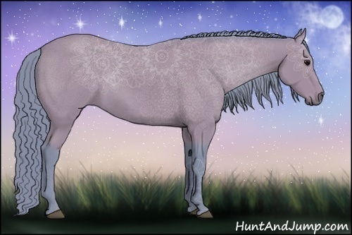 Horse Color:Watercolor Black 