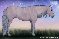 Horse Color:Watercolor Black 