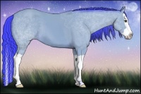 Horse Color:Watercolor Bay Splash