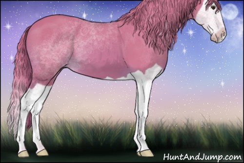 Horse Color:Watercolor Chestnut Splash 