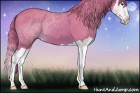 Horse Color:Watercolor Chestnut Splash 