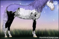 Horse Color:Watercolor Chestnut Splash