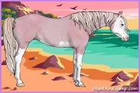 Horse Color:Watercolor Palomino Splash 