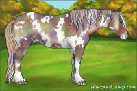 Horse Color:Nacre White Spotted Silver Blue Onyx Appaloosa