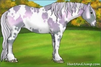 Horse Color:Watercolor White Spotted Silver Blue Onyx 