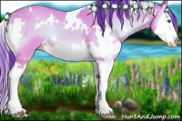 Horse Color:Watercolor White Spotted Bay Onyx Splash 