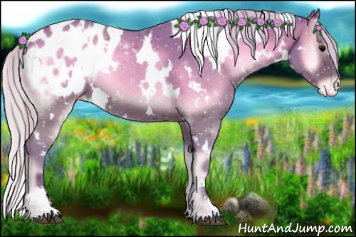 Horse Color:Watercolor White Spotted Chocolate Silver Blue Onyx Appaloosa 