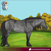 Horse Color:Platinum Buckskin Dun Brindle 