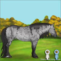 Horse Color:Platinum Buckskin Dun Brindle 