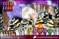 Horse Color:White Spotted Liver Red Dun Pearl