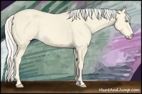 Horse Color:Cremello 