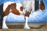 Horse Color:Bay Sabino Tobiano
