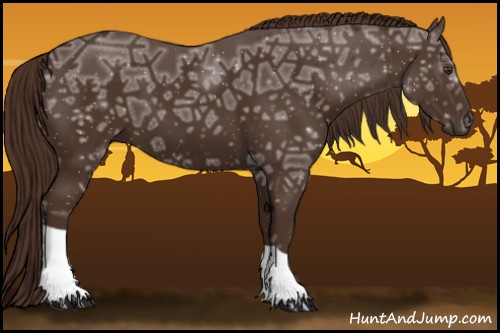 Horse Color:Liver Chestnut Ice 
