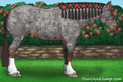 Horse Color:Liver Red Ice Roan 