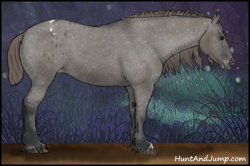 Horse Color:Grullo Appaloosa 