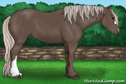 Horse Color:Silver Black 