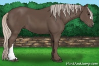 Horse Color:Silver Black 