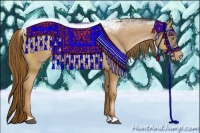 Horse Color:Liver Chestnut Pearl Rabicano 