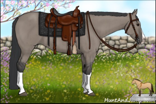 Horse Color:Grullo Splash Brindle 