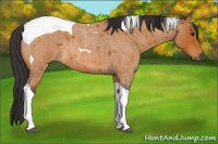 Horse Color:Bay Roan Tobiano 