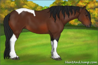Horse Color:Gray Bay Tobiano 