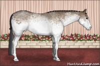 Horse Color:White Spotted Brown Dun