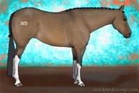 Horse Color:Brown Dun 