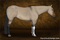 Horse Color:Gray Brown Dun 