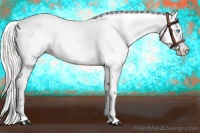 Horse Color:Cremello Leopard  and Cremello Near Leopard 