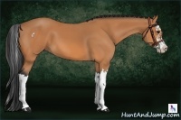 Horse Color:Bay Splash 