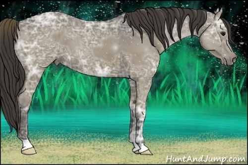 Horse Color:Smoky Blue Ice Roan 