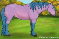 Horse Color:Watercolor Bay 
