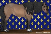 Horse Color:Brown Dun