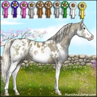 Horse Color:White Spotted Chocolate Palomino Sabino Splash Appaloosa