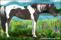 Horse Color:Liver Chestnut Tobiano 