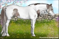 Horse Color:Liver Chestnut Splash Tobiano Rabicano