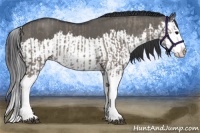 Horse Color:Grullo Sabino Splash  and Grullo Sabino Splash 