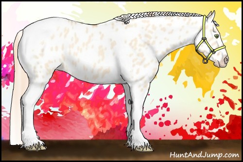 Horse Color:Gold Champagne Roan Dun Splash Tobiano Frame Appaloosa Rabicano 