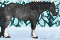 Horse Color:Black Rabicano 