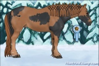 Horse Color:Black  and Chestnut 