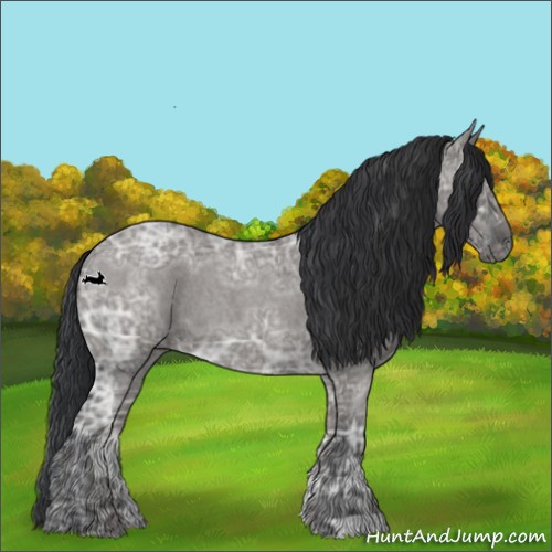 Horse Color:Grullo Ice Roan