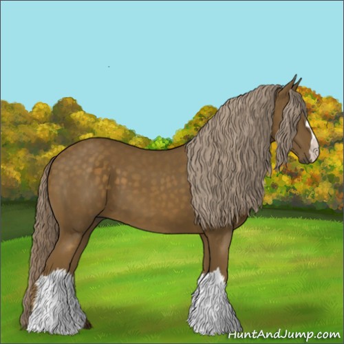 Horse Color:Chocolate Palomino 