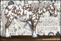 Horse Color:White Spotted Silver Blue Roan Splash Frame Appaloosa 