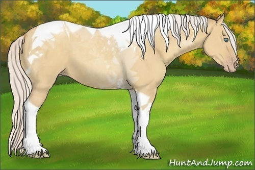 Horse Color:Silver Classic Champagne Dun Tobiano 